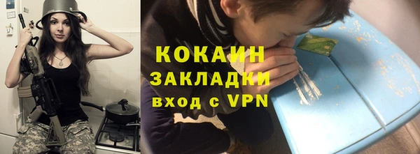 соль ск Алексин